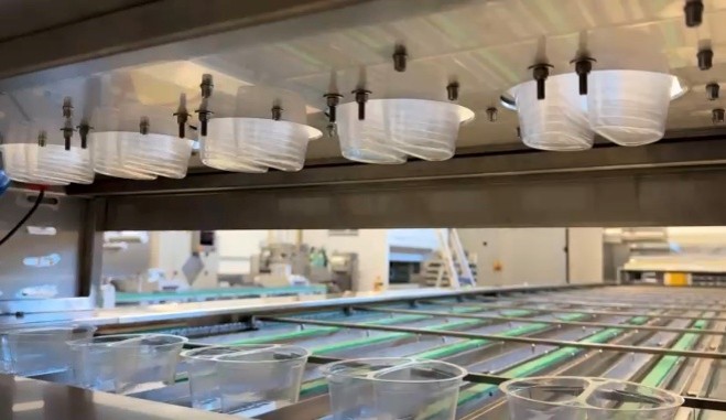 Project: Selection of cheese in a tray