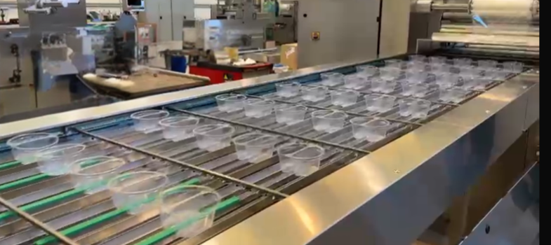Project: Selection of cheese in a tray